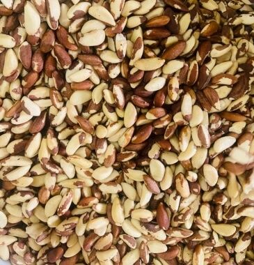 Castanha do Pará Pequena R$ 65,00